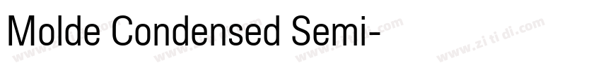 Molde Condensed Semi字体转换